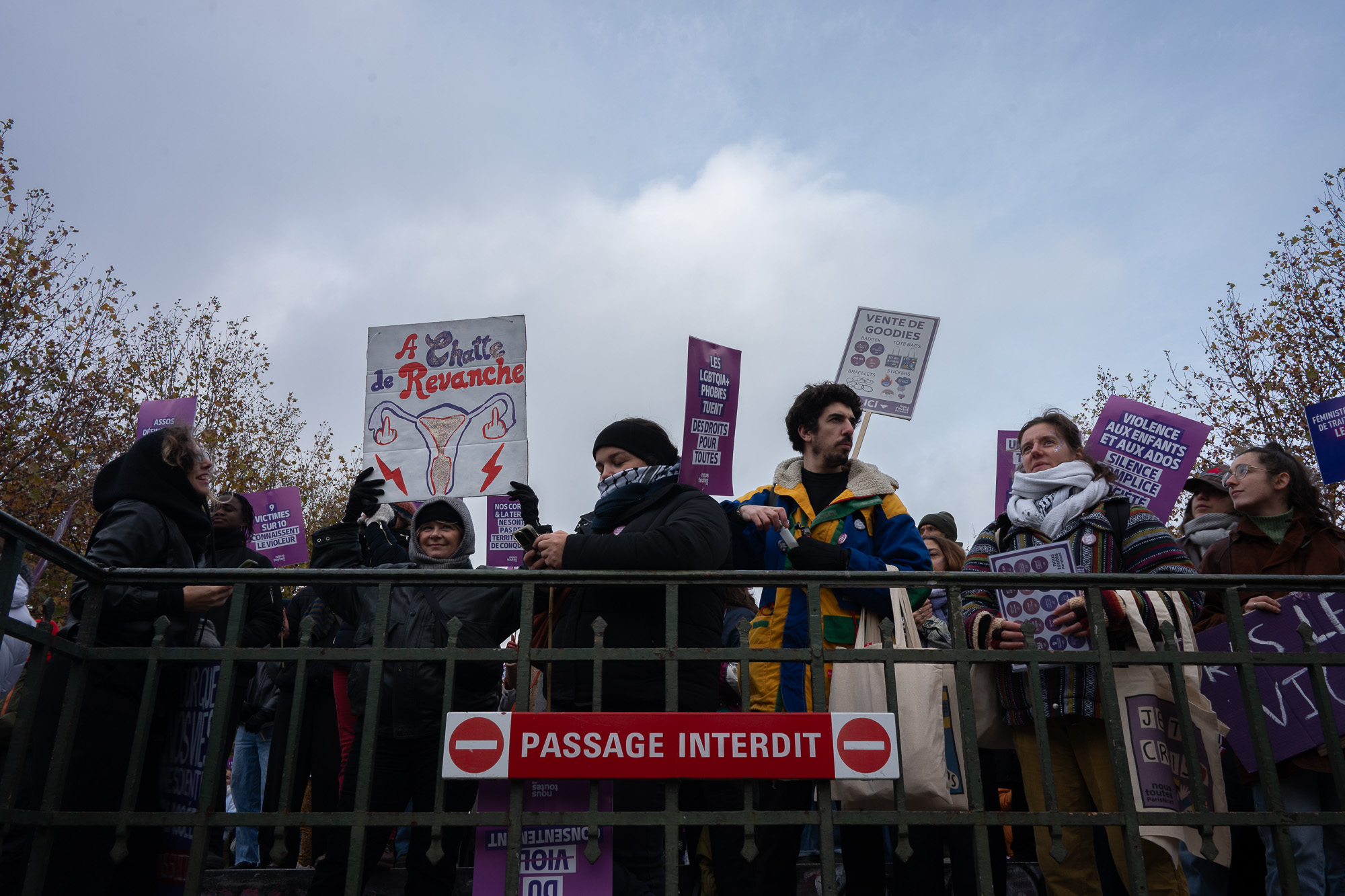 Demonstration marking the International Day for the Elimination of Violence against Women, Paris, November 2025.