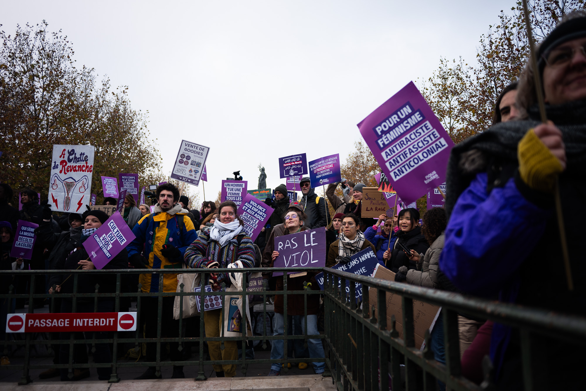 Demonstration marking the International Day for the Elimination of Violence against Women, Paris, November 2025.