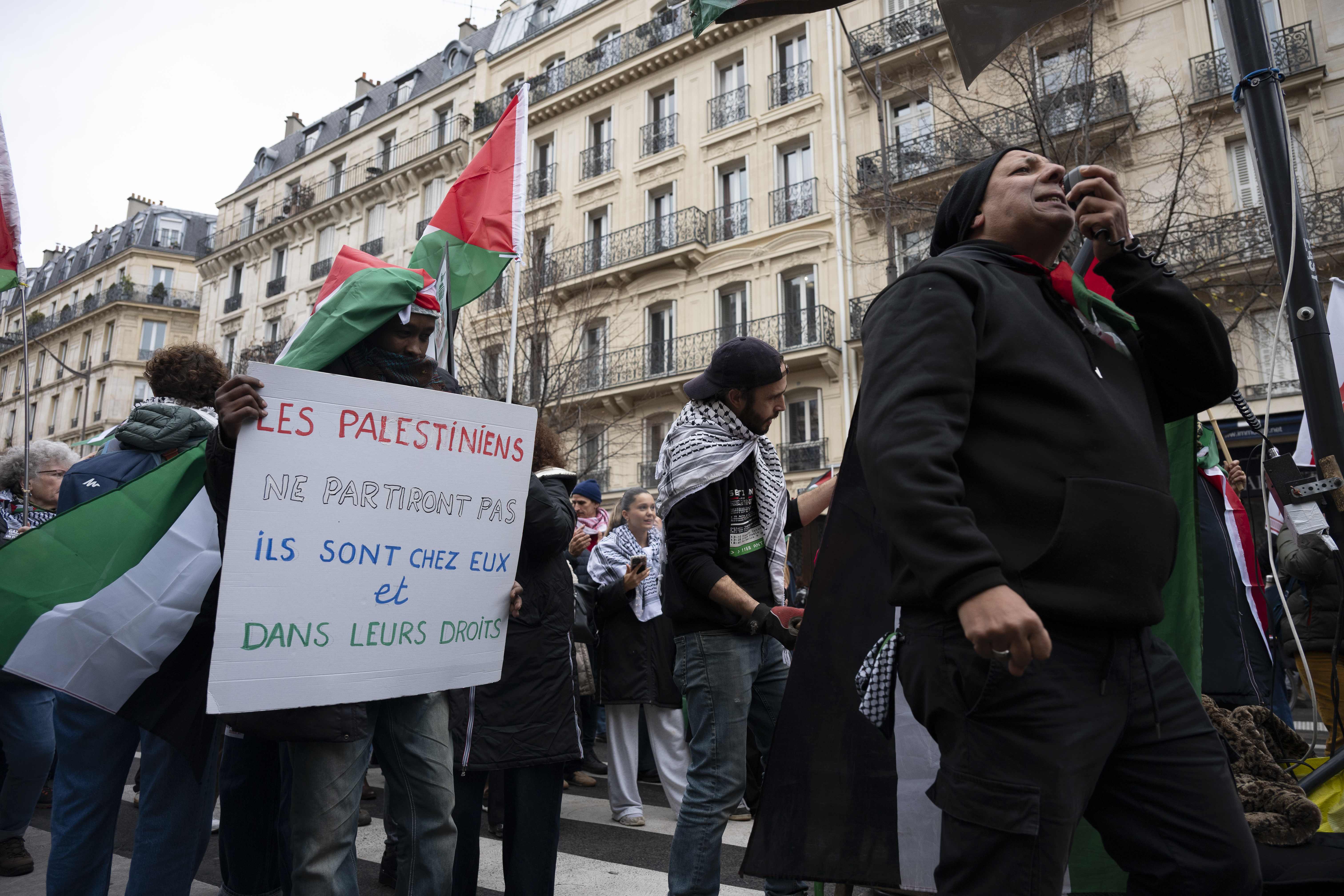 Demonstration marking the International Day of Solidarity with the Palestinian people, Paris, November 29, 2025.